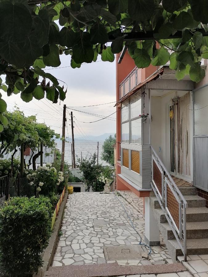 Villa Shine Apartment 1 Struga Exterior foto